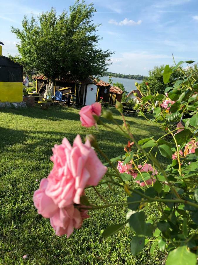 Angelinin Konak Negotin Buitenkant foto